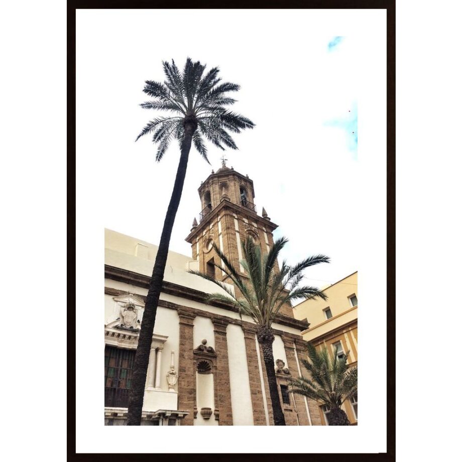 Looking Up In Cadiz Poster