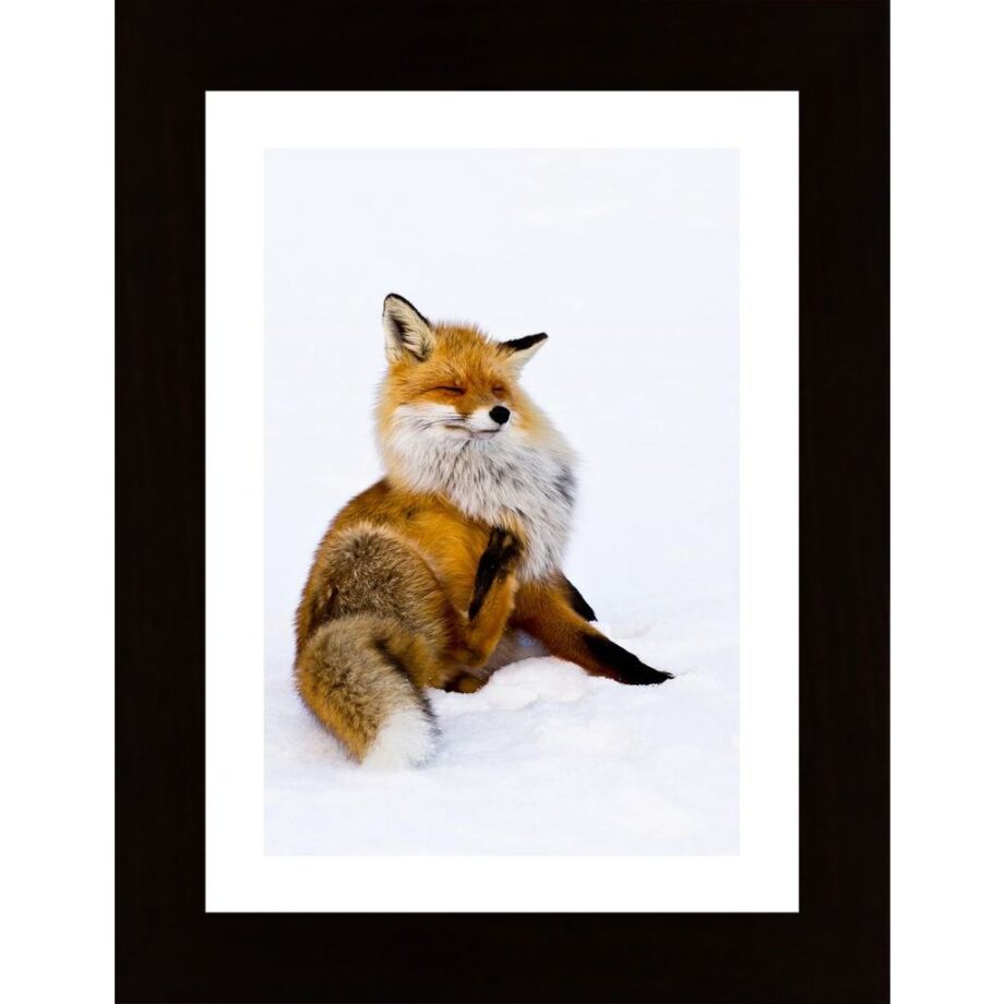 Winterfox Poster