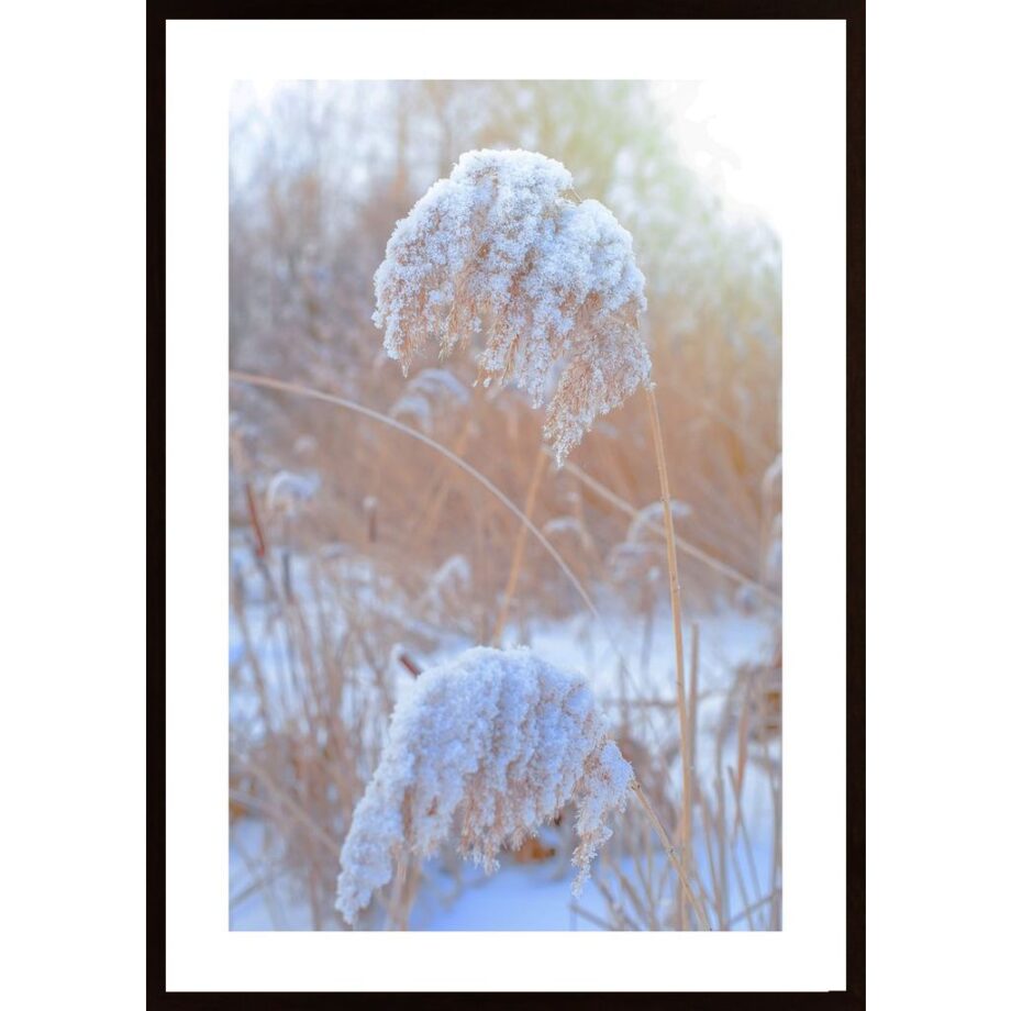 Winter Day At Sunset Poster